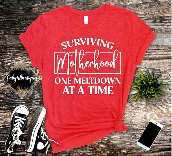 SURVIVING MOTHERHOOD ONE MELTDOWN AT A TIME